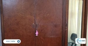 Thu Mua Tủ Quần Áo Cũ Tại Tây Hồ3