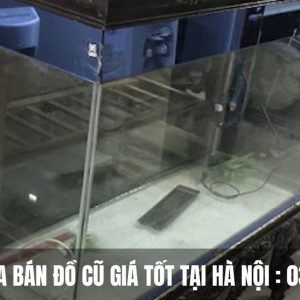 Bể Cá